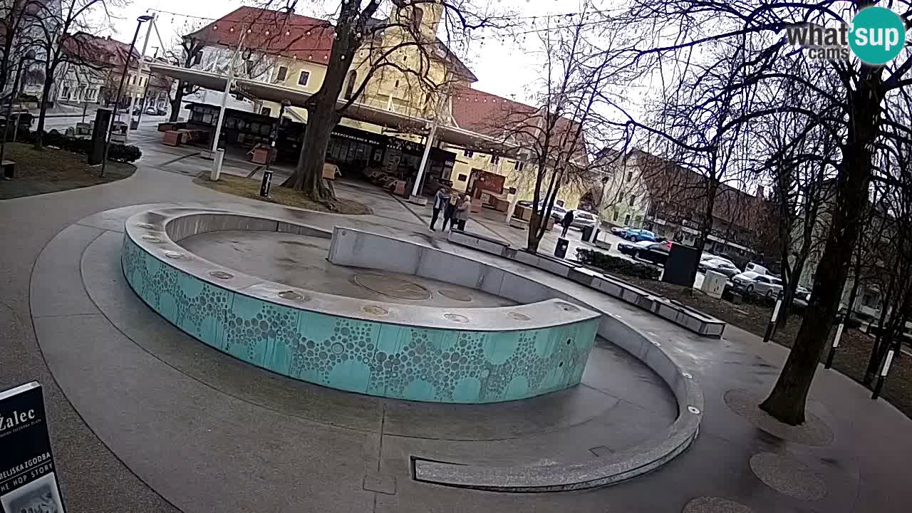 Fontaine à bière LIVE webcam – Or vert – Žalec