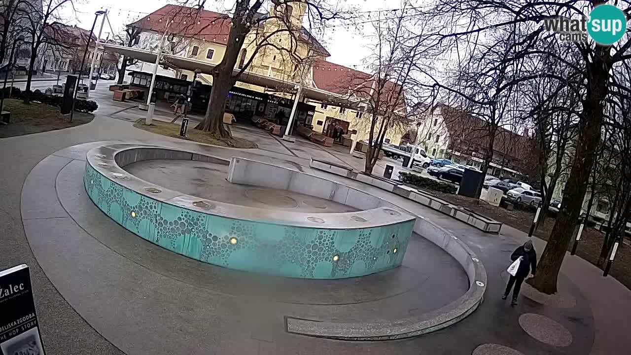 Fontana di birra Webcam – Oro verde – Žalec