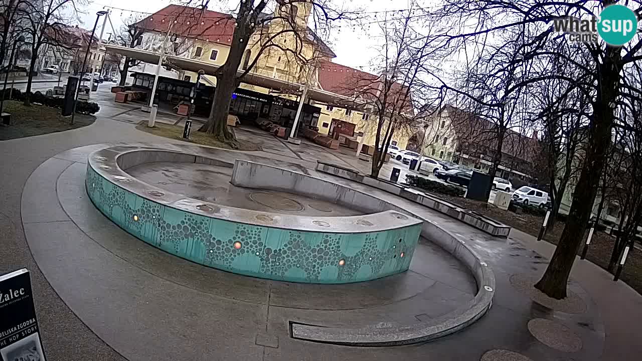 Bier-Springbrunnen Webcam Žalec – Grünen Goldes