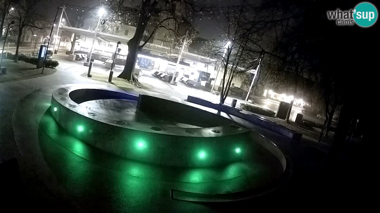Bier-Springbrunnen Webcam Žalec – Grünen Goldes
