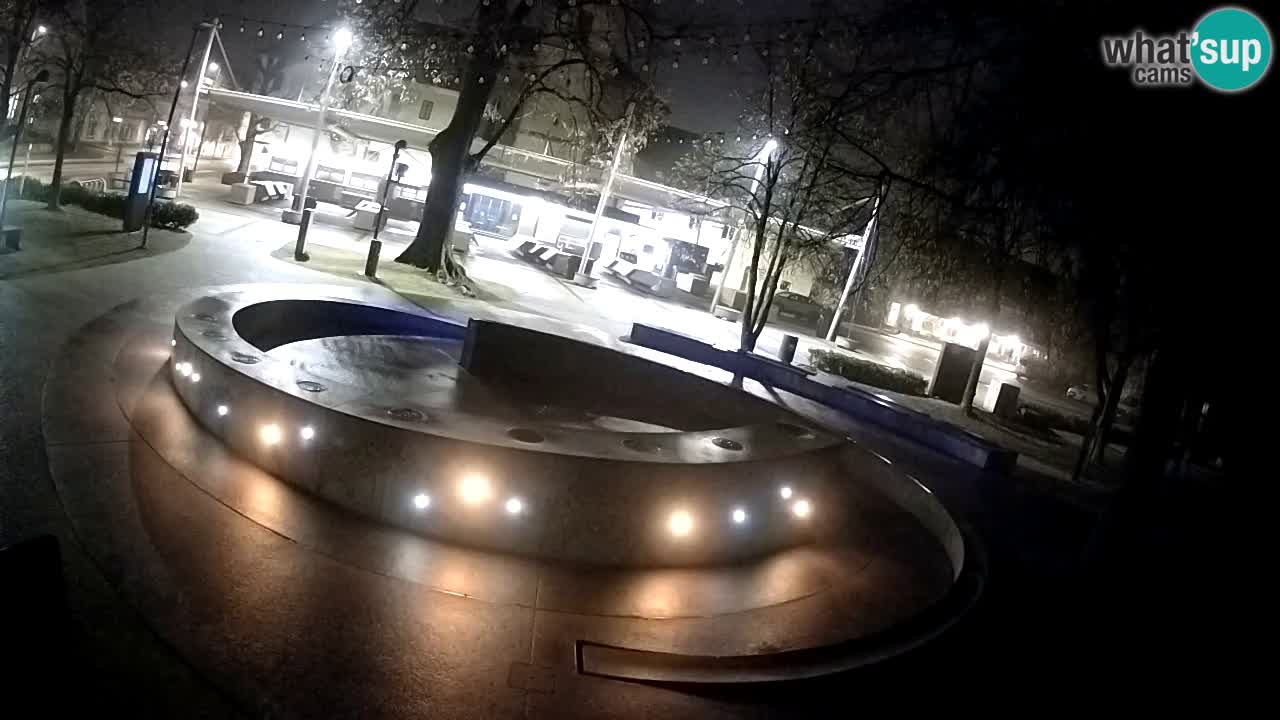Fontana di birra Webcam – Oro verde – Žalec