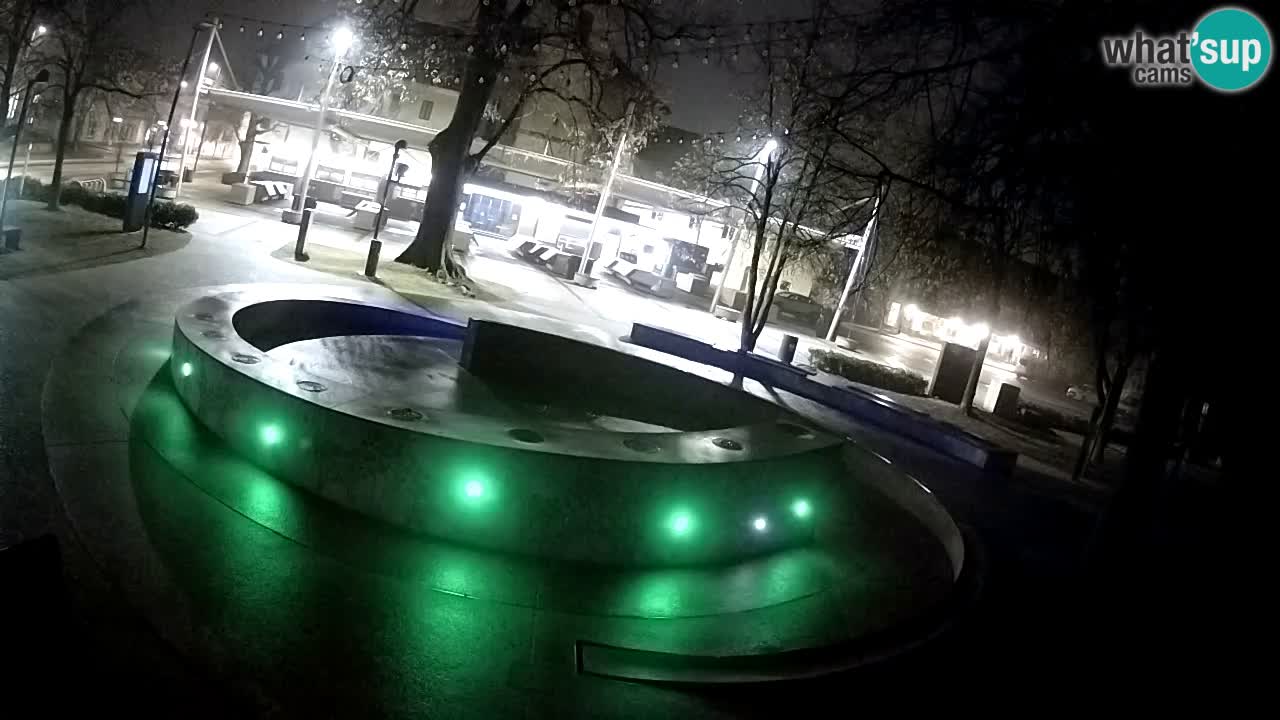 Bier-Springbrunnen Webcam Žalec – Grünen Goldes