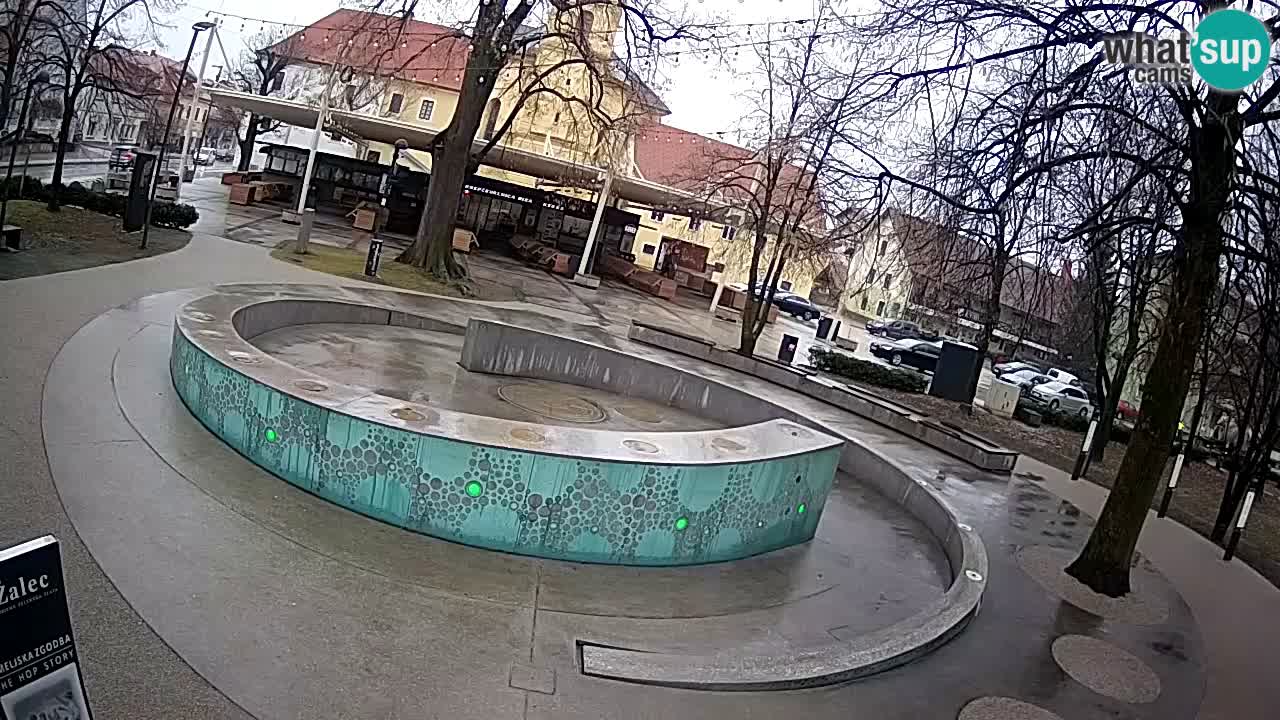 Bier-Springbrunnen Webcam Žalec – Grünen Goldes