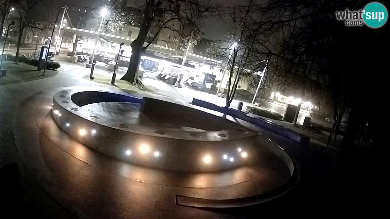 Fontana di birra Webcam – Oro verde – Žalec