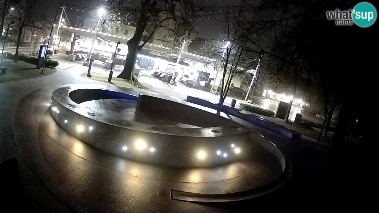 Fontaine à bière LIVE webcam – Or vert – Žalec