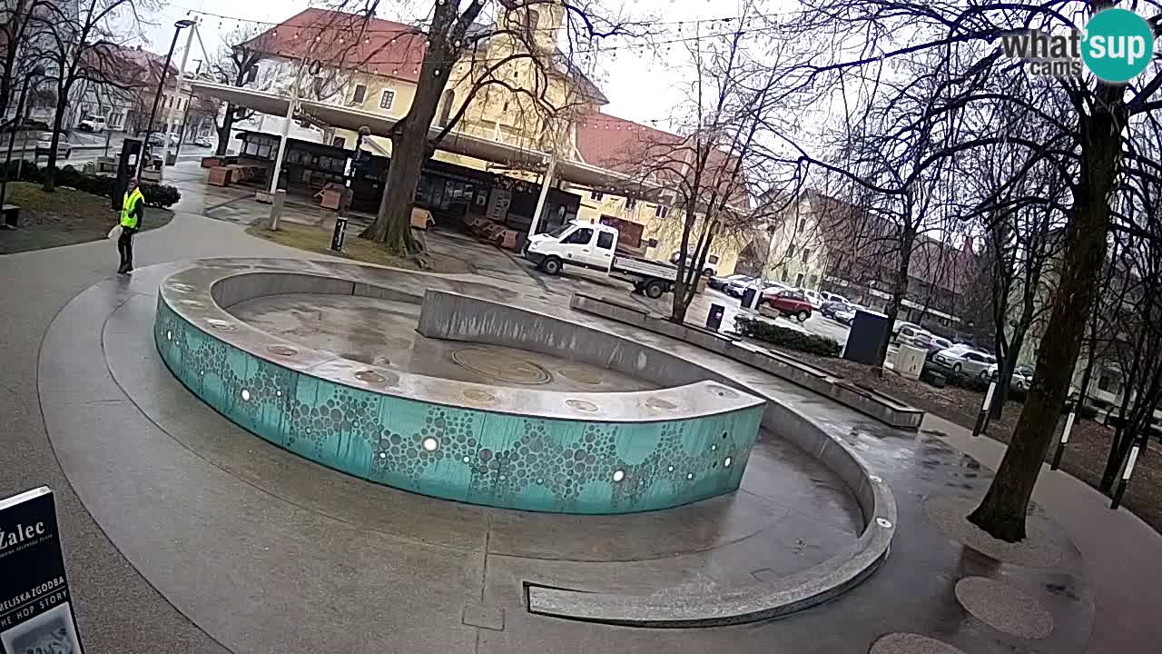 Bier-Springbrunnen Webcam Žalec – Grünen Goldes