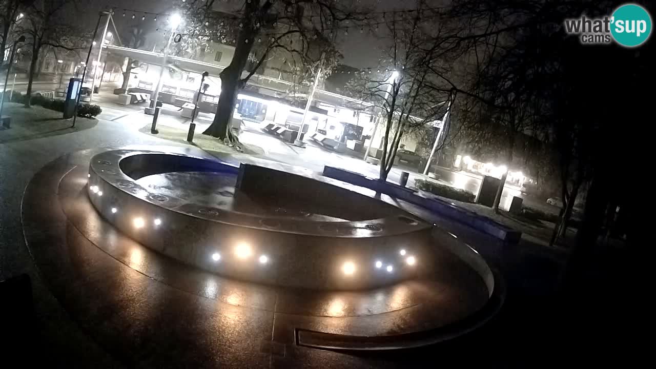 Web kamera Fontana piva – Zeleno zlato – Žalec