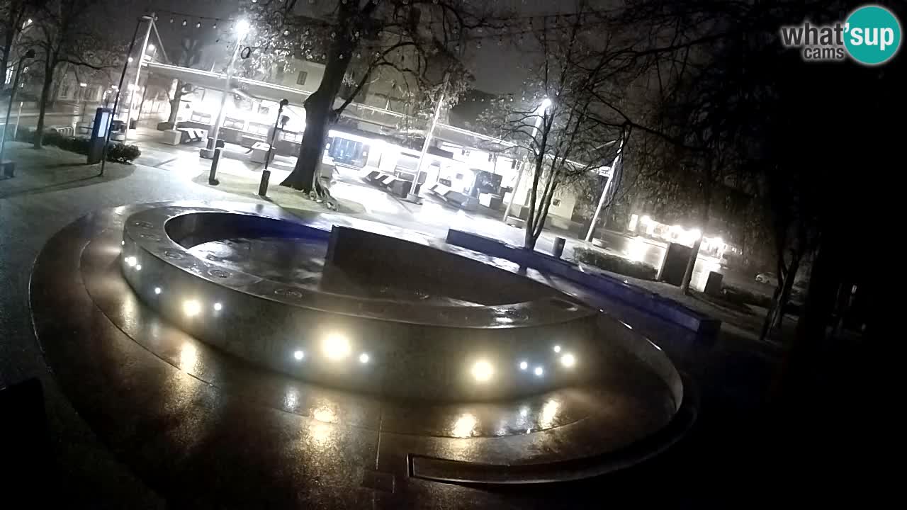 Spletna kamera Fontana Piv – Zeleno zlato Žalec