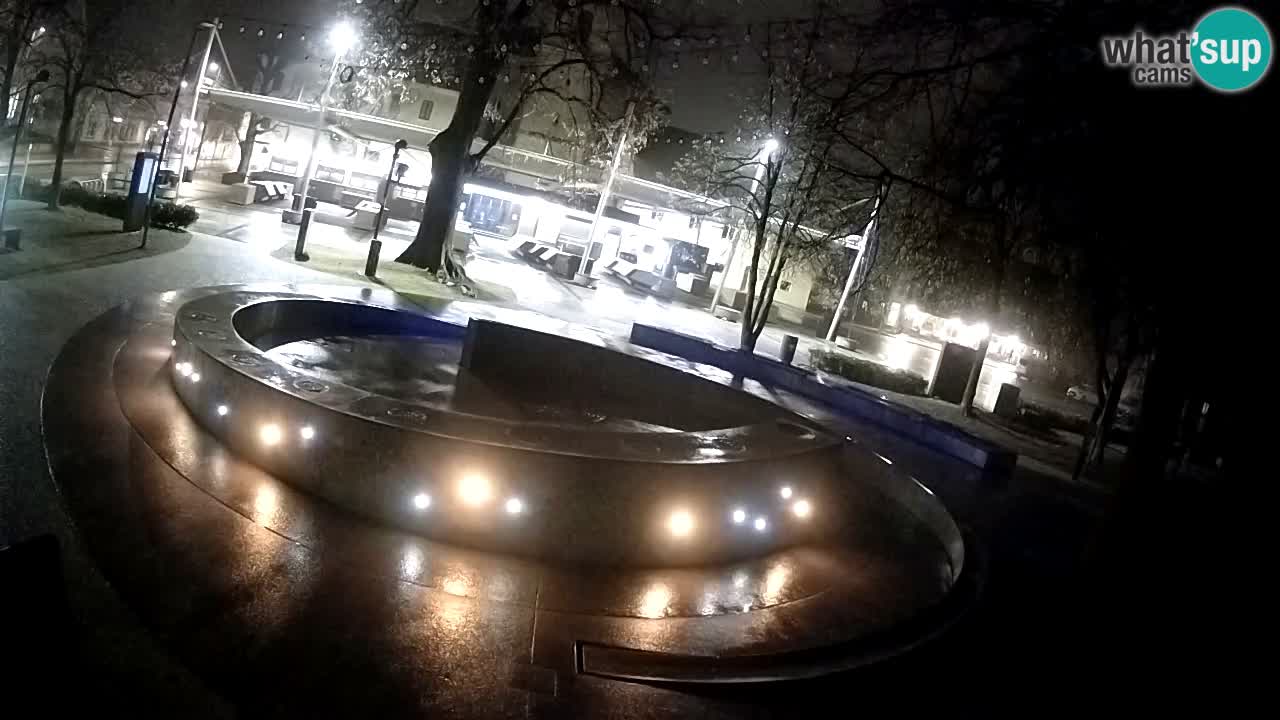 Web kamera Fontana piva – Zeleno zlato – Žalec