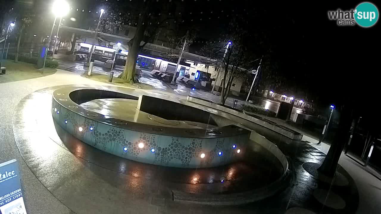 Fontana di birra Webcam – Oro verde – Žalec
