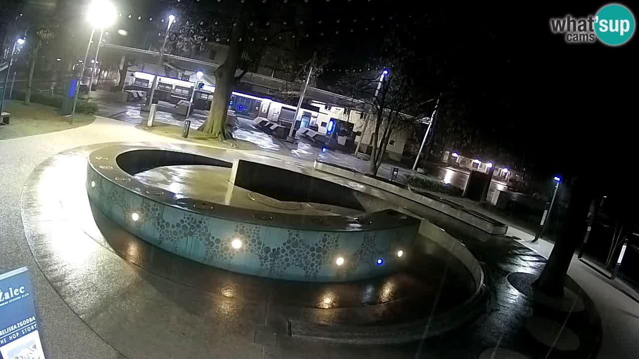 Fontaine à bière LIVE webcam – Or vert – Žalec