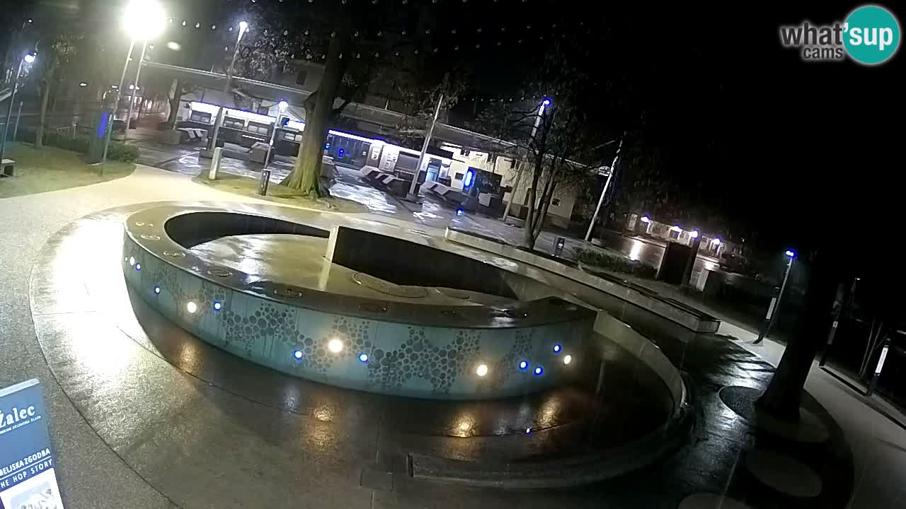 Bier-Springbrunnen Webcam Žalec – Grünen Goldes
