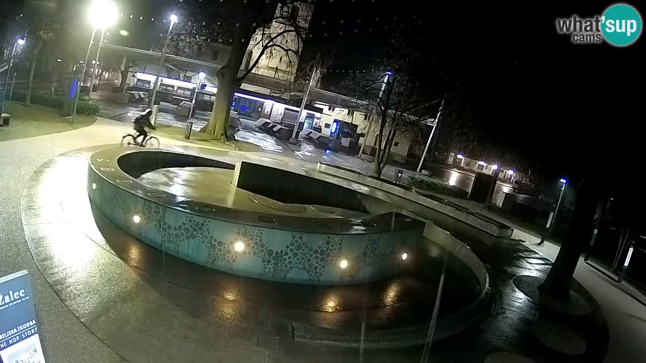 Spletna kamera Fontana Piv – Zeleno zlato Žalec