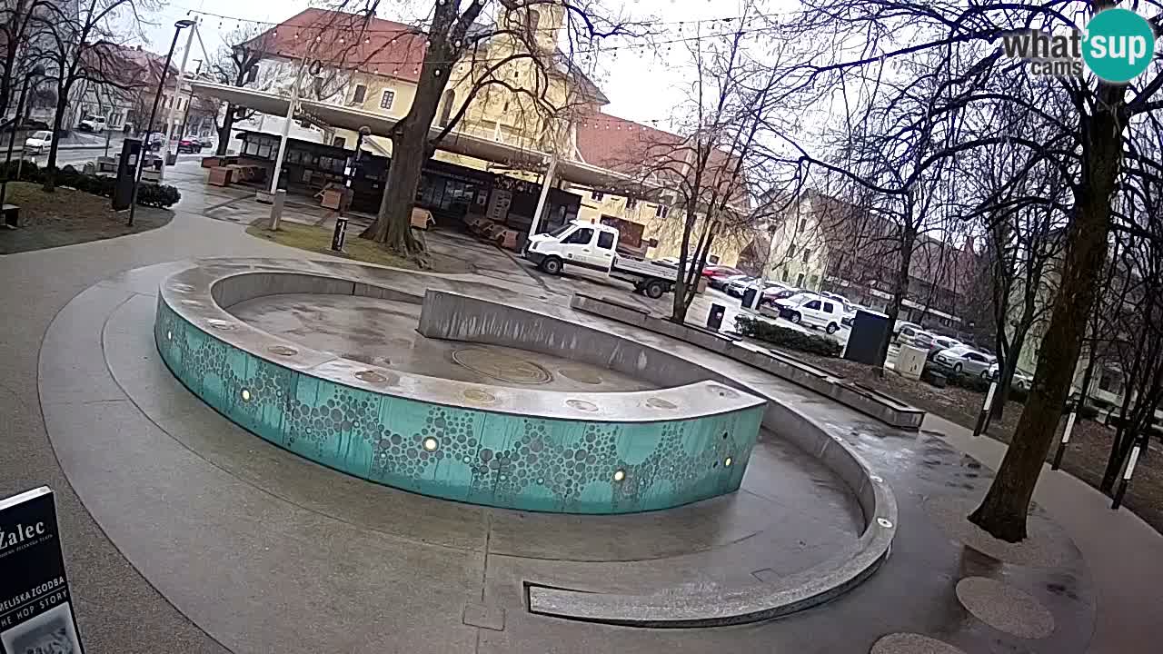 Spletna kamera Fontana Piv – Zeleno zlato Žalec
