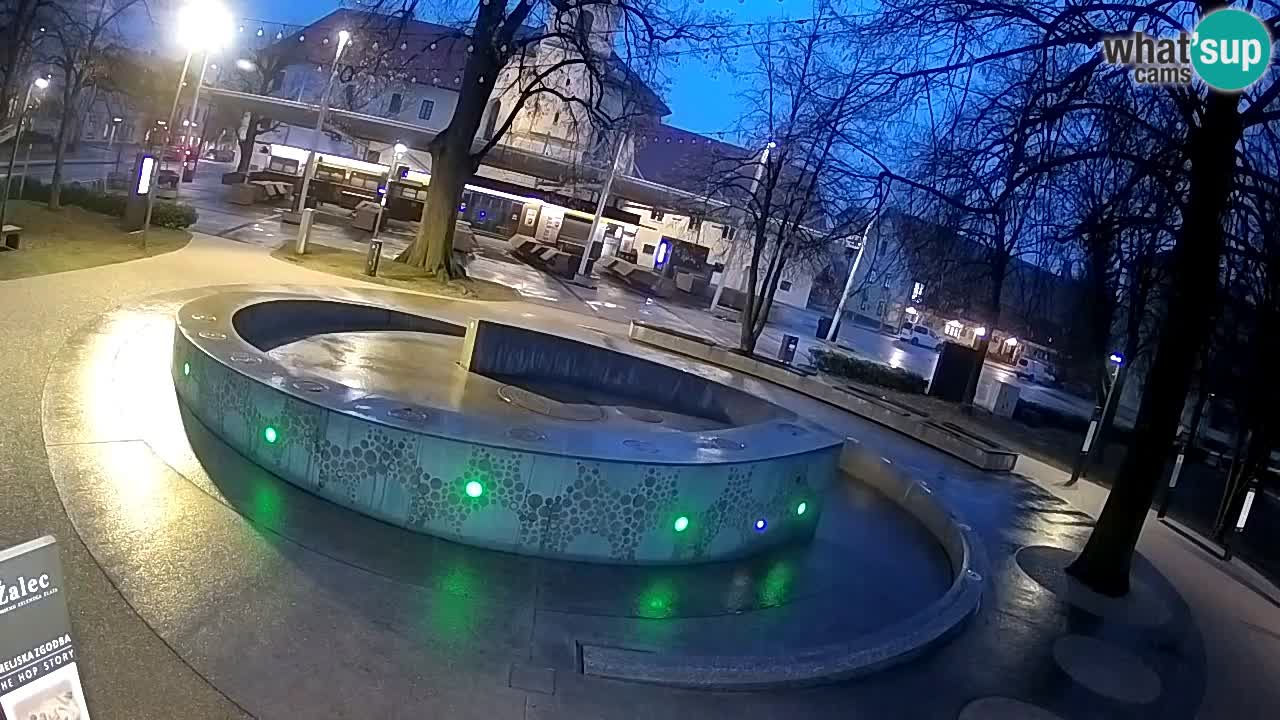 Fontana di birra Webcam – Oro verde – Žalec