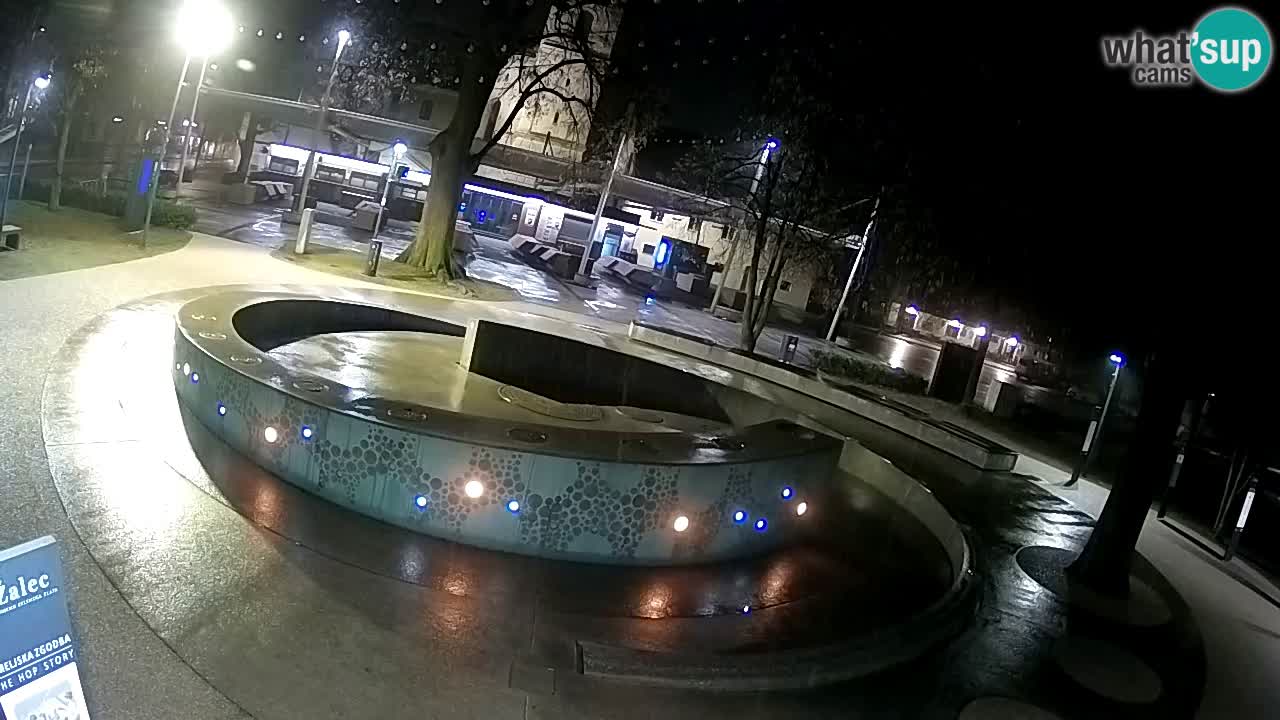 Bier-Springbrunnen Webcam Žalec – Grünen Goldes