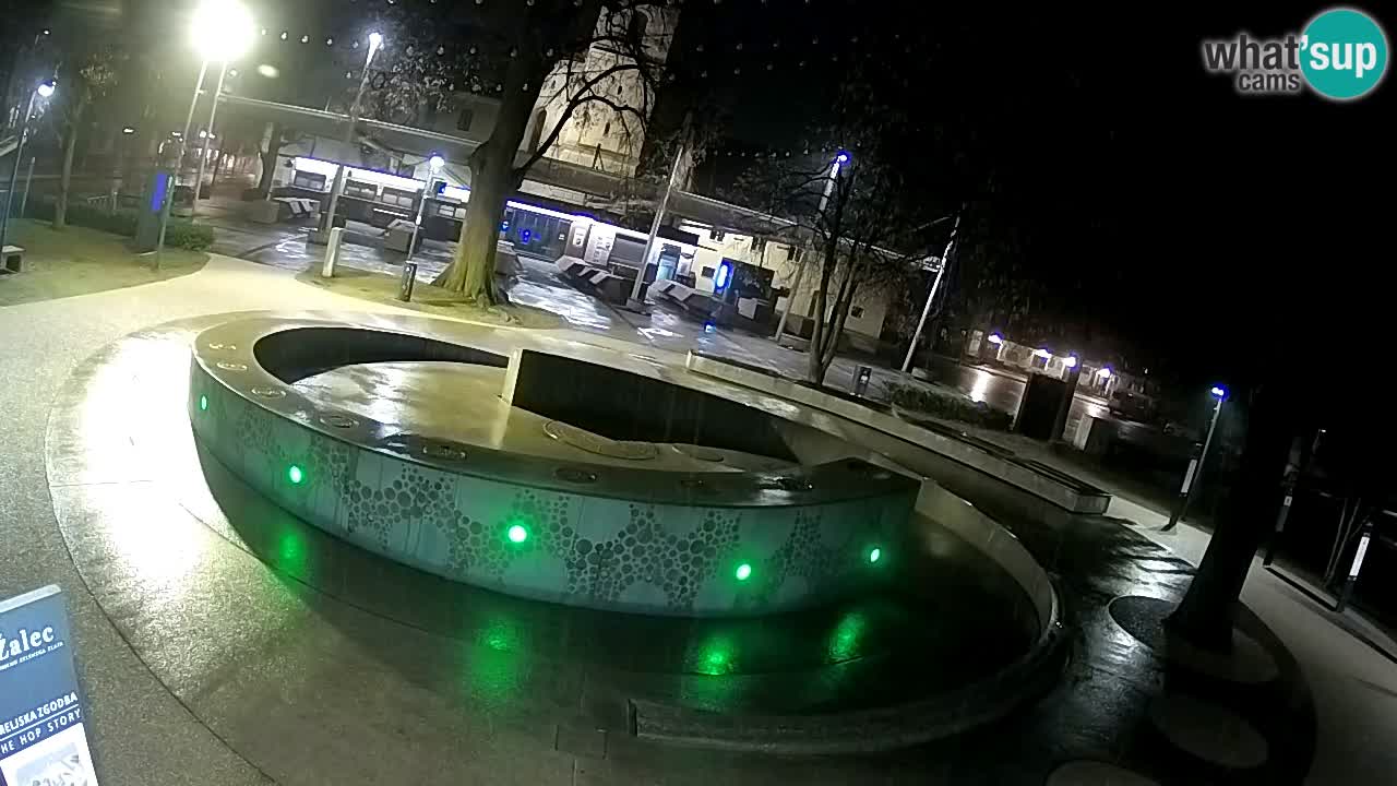 Fontana di birra Webcam – Oro verde – Žalec