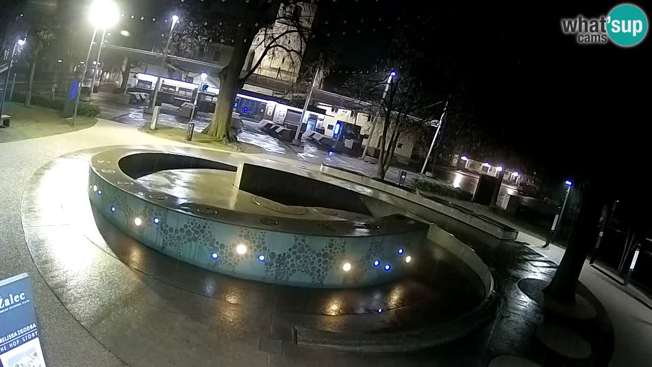 Bier-Springbrunnen Webcam Žalec – Grünen Goldes