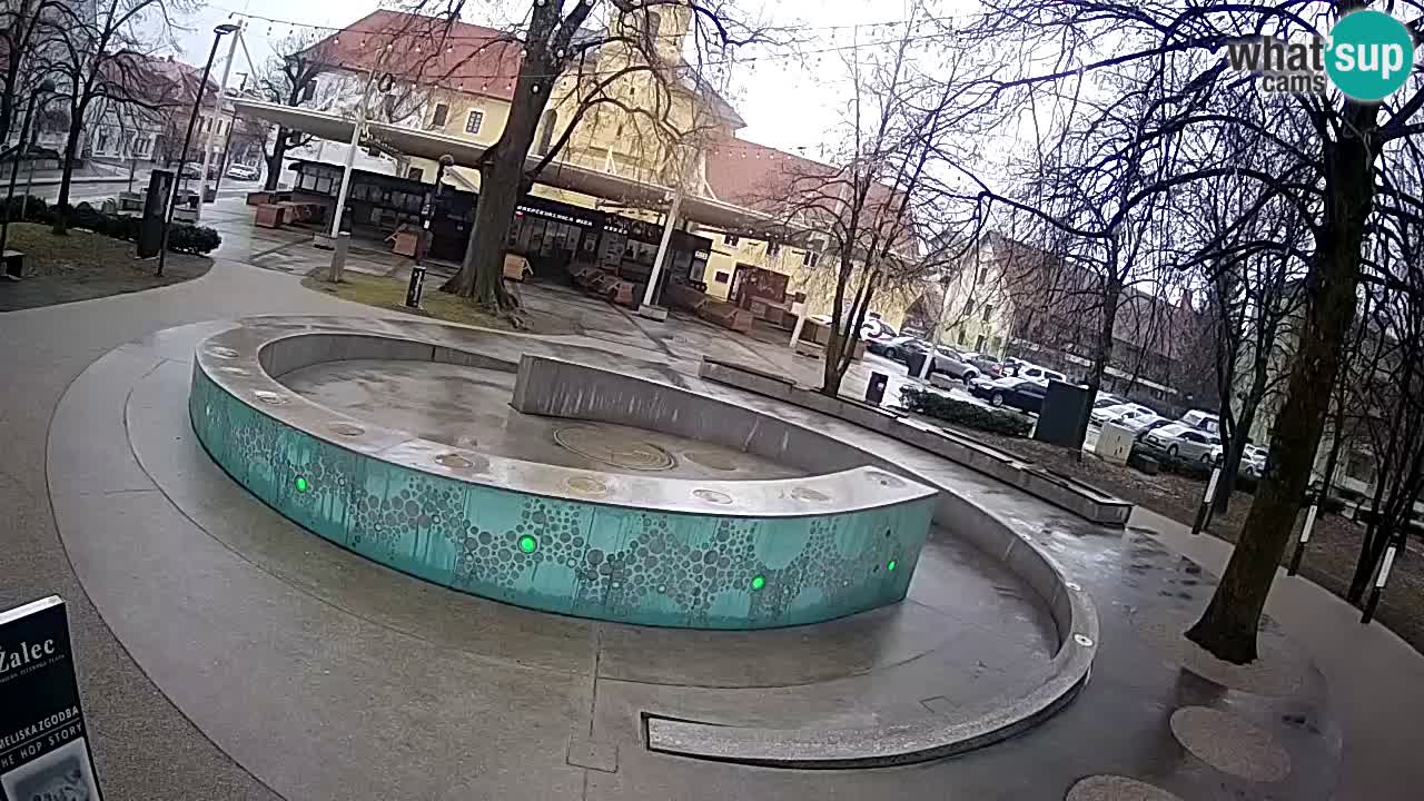 Web kamera Fontana piva – Zeleno zlato – Žalec