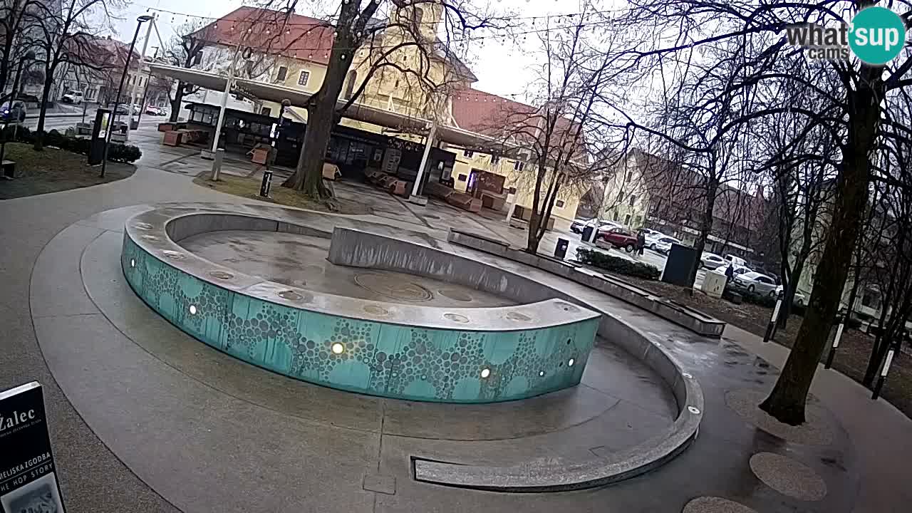 Fontana di birra Webcam – Oro verde – Žalec