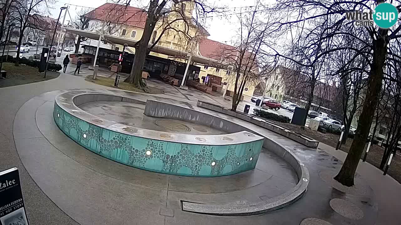 Bier-Springbrunnen Webcam Žalec – Grünen Goldes