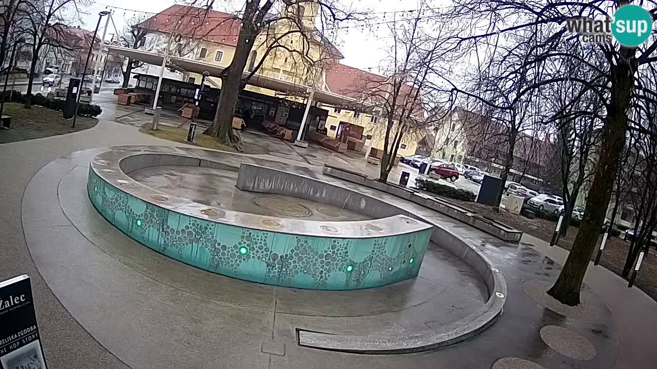 Spletna kamera Fontana Piv – Zeleno zlato Žalec