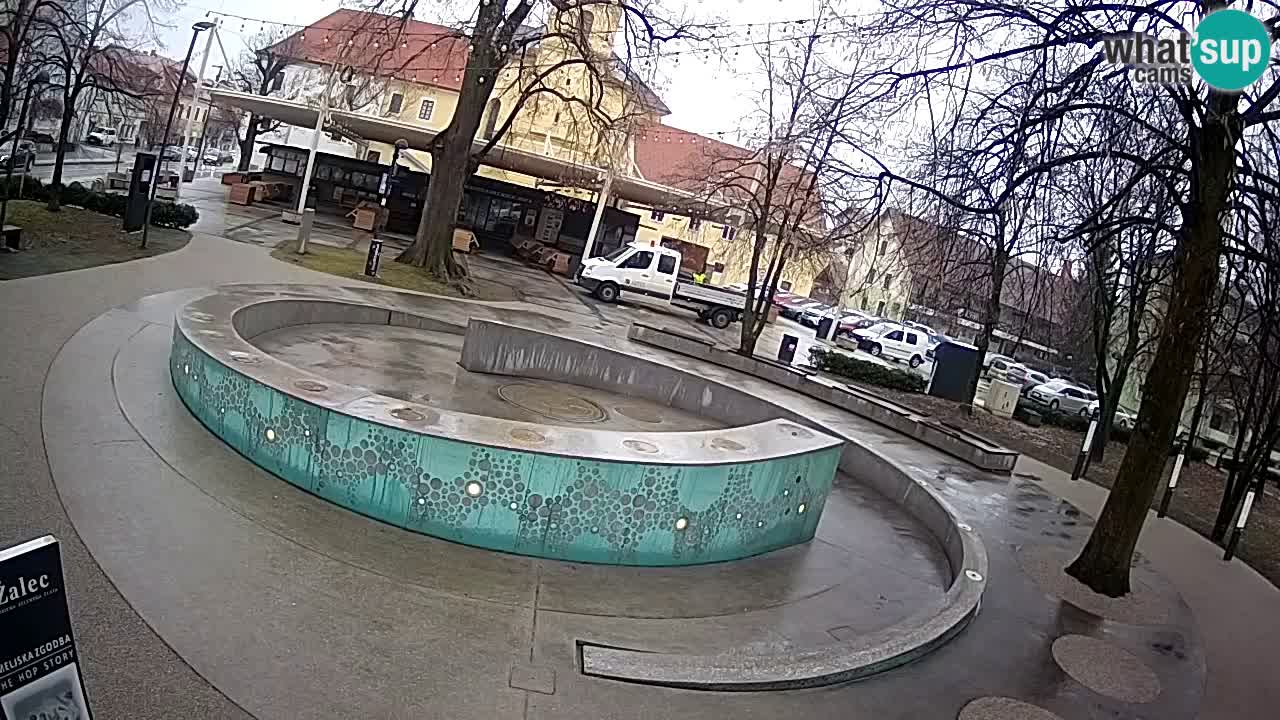 Web kamera Fontana piva – Zeleno zlato – Žalec