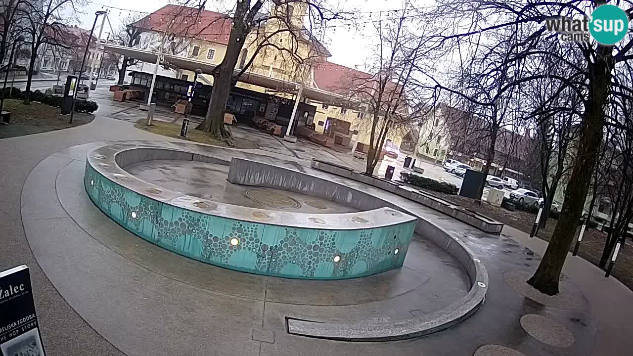 Web kamera Fontana piva – Zeleno zlato – Žalec