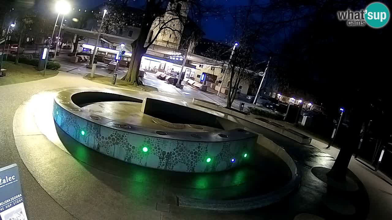 Spletna kamera Fontana Piv – Zeleno zlato Žalec