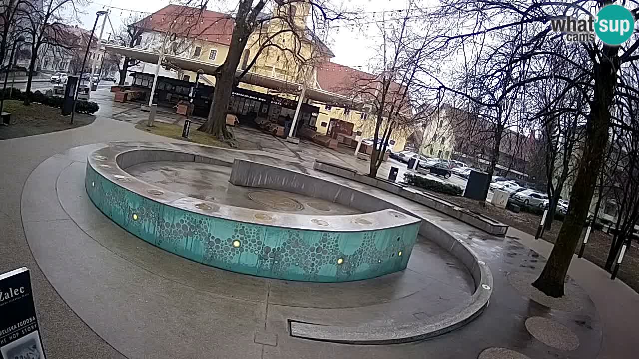 Fontana di birra Webcam – Oro verde – Žalec
