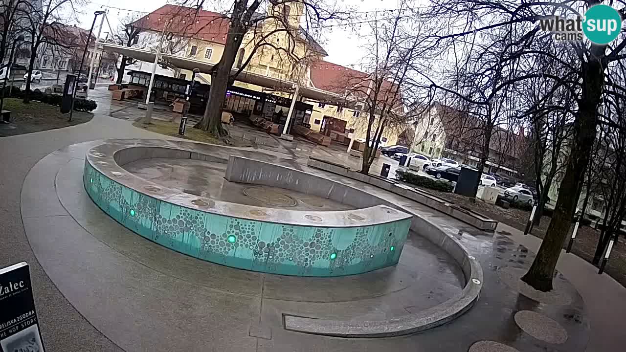Web kamera Fontana piva – Zeleno zlato – Žalec