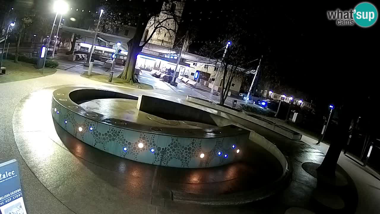 Bier-Springbrunnen Webcam Žalec – Grünen Goldes