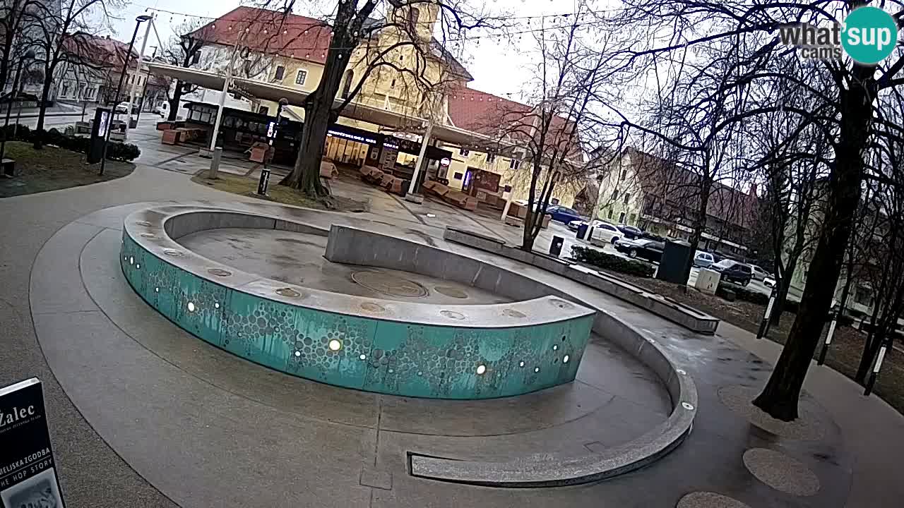 Camera en vivo Fuente de cerveza – Oro verde – Žalec