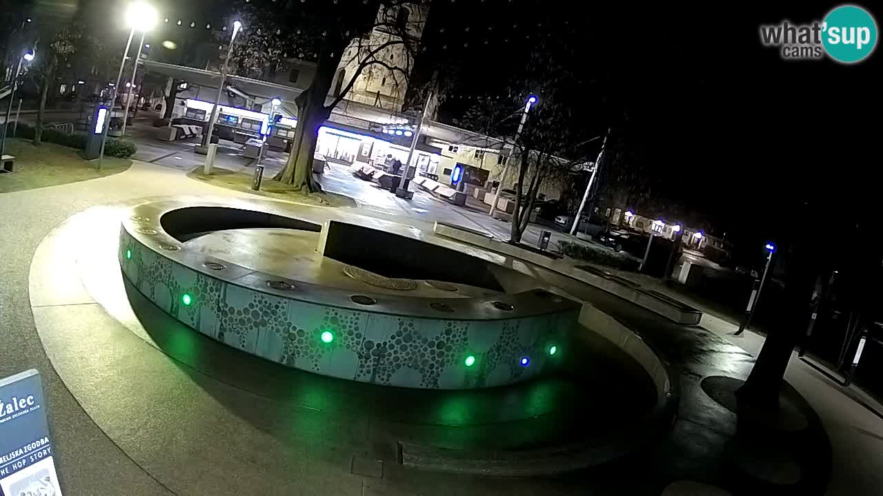 Bier-Springbrunnen Webcam Žalec – Grünen Goldes