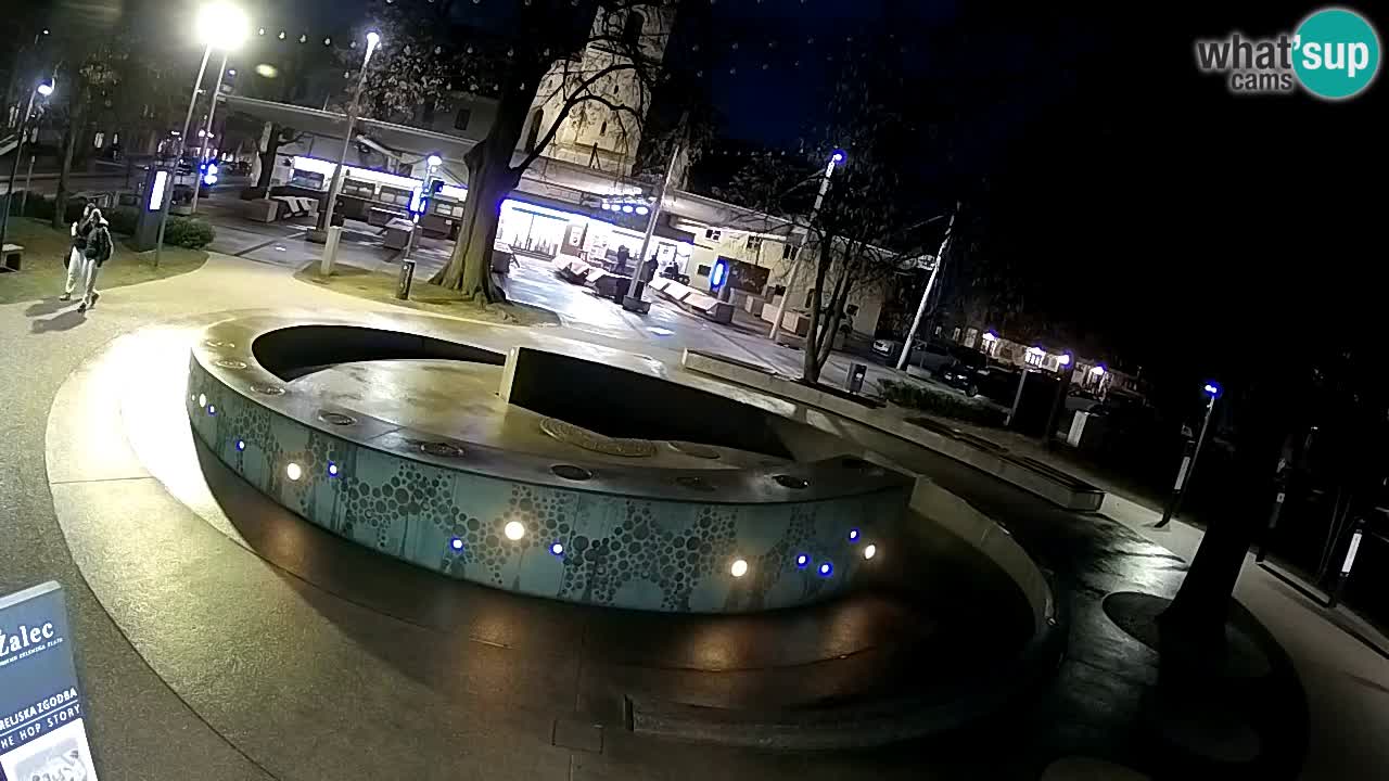 Spletna kamera Fontana Piv – Zeleno zlato Žalec