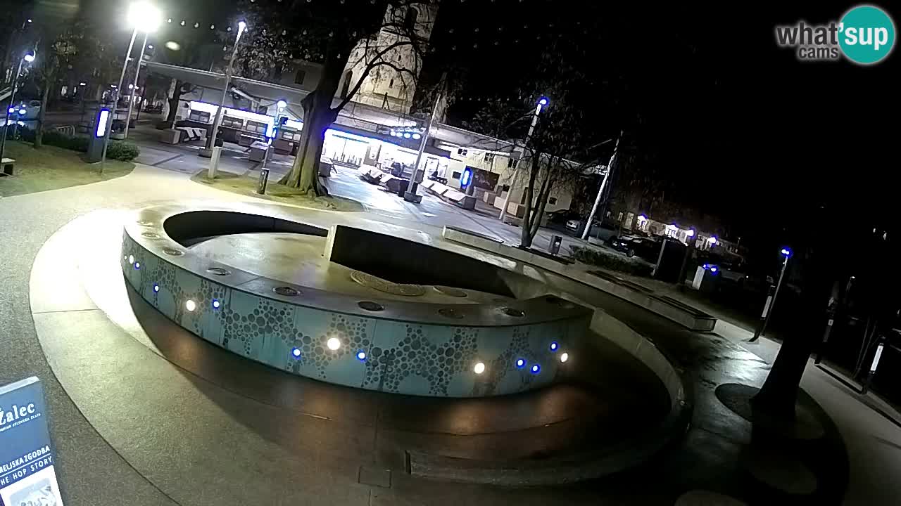 Fontana di birra Webcam – Oro verde – Žalec