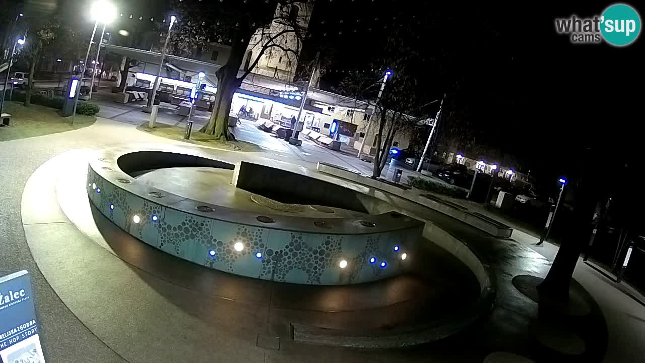 Spletna kamera Fontana Piv – Zeleno zlato Žalec