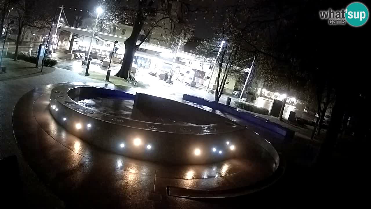Fontaine à bière LIVE webcam – Or vert – Žalec