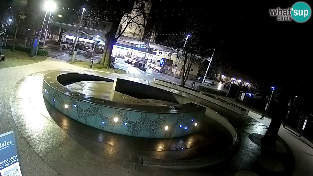 Fontana di birra Webcam – Oro verde – Žalec