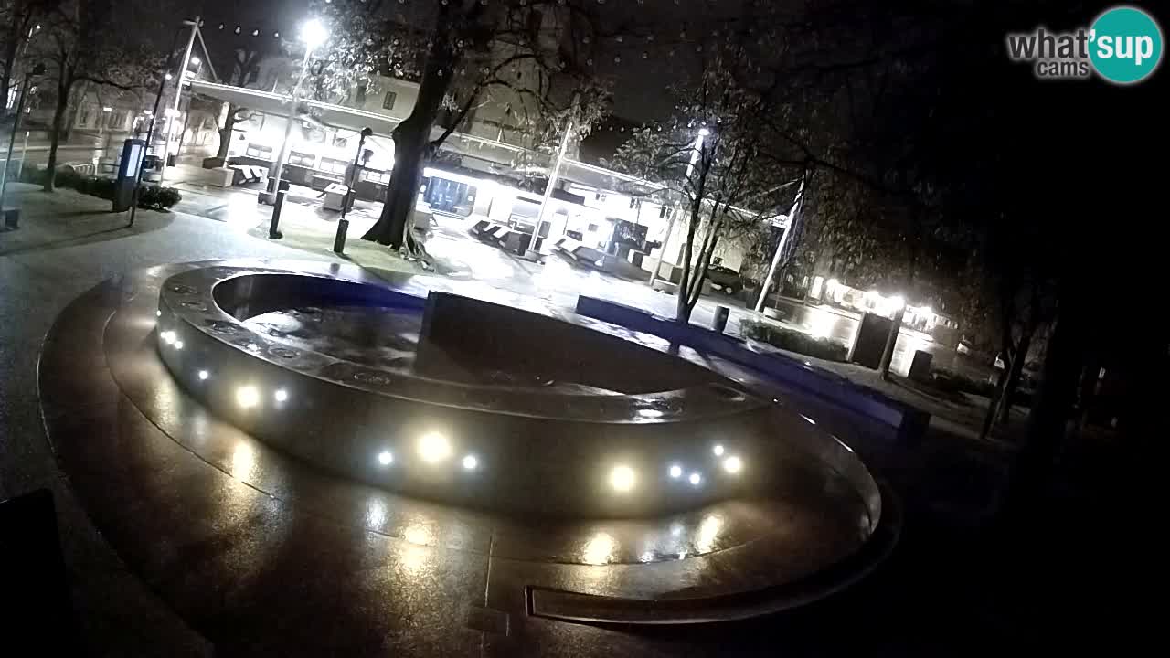 Web kamera Fontana piva – Zeleno zlato – Žalec