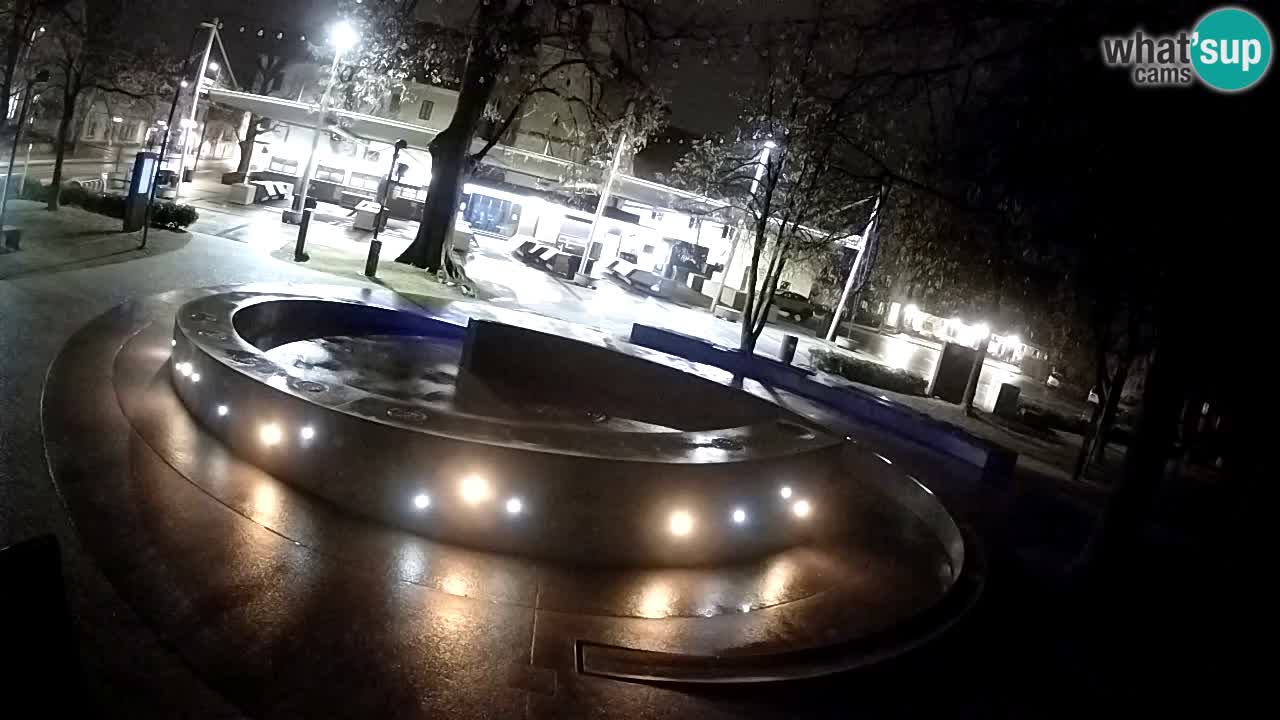 Bier-Springbrunnen Webcam Žalec – Grünen Goldes