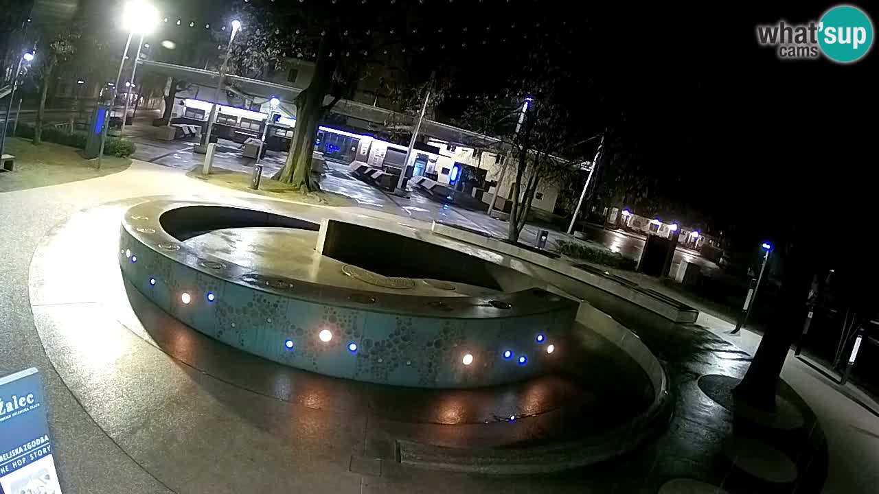 Web kamera Fontana piva – Zeleno zlato – Žalec