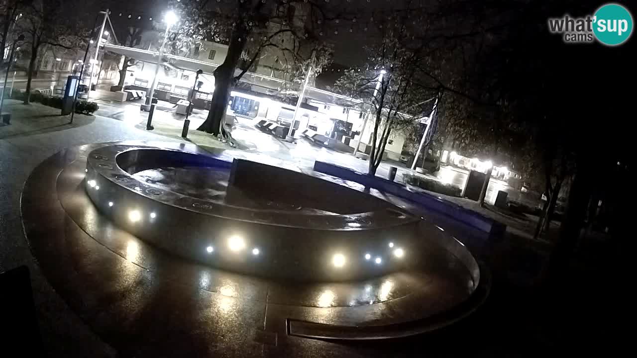 Fontana di birra Webcam – Oro verde – Žalec