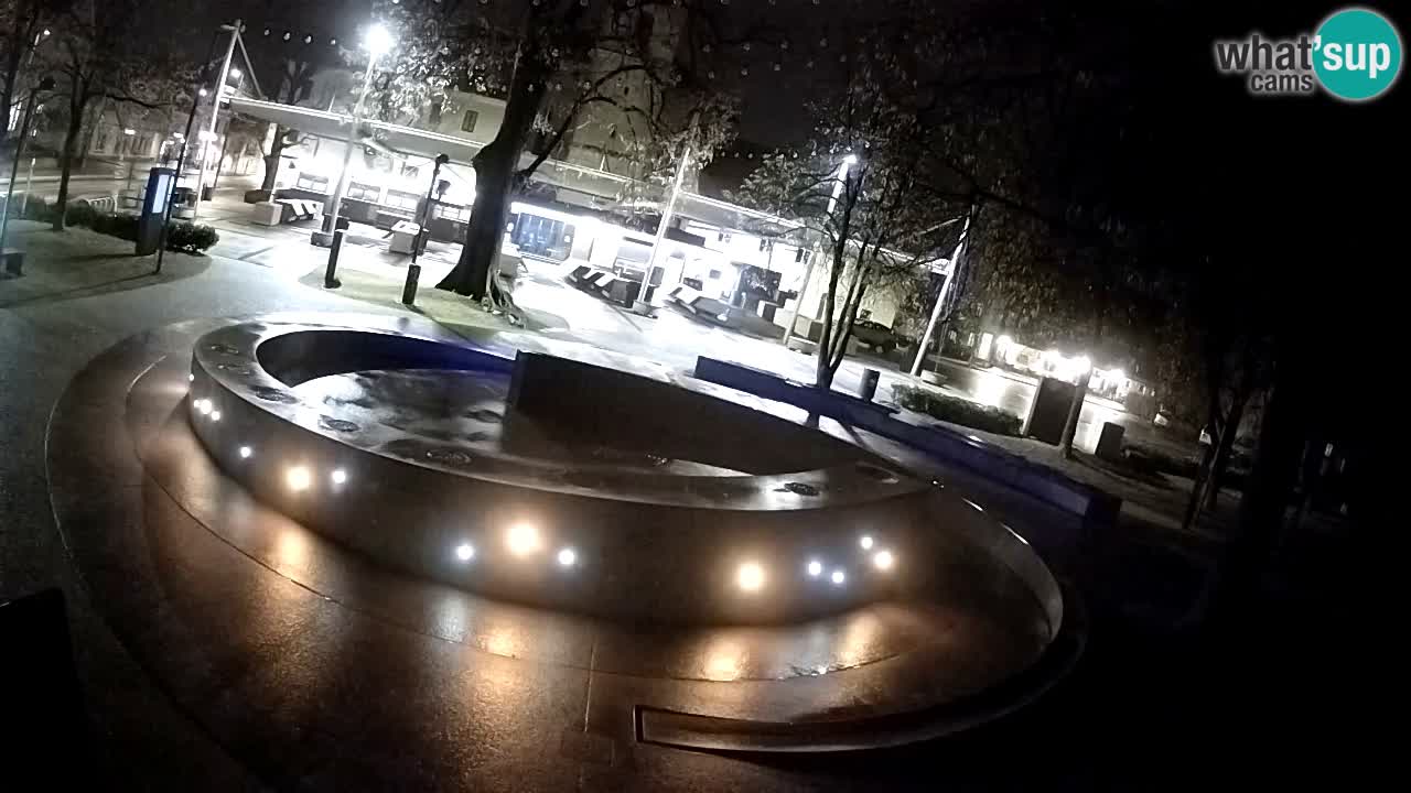 Bier-Springbrunnen Webcam Žalec – Grünen Goldes