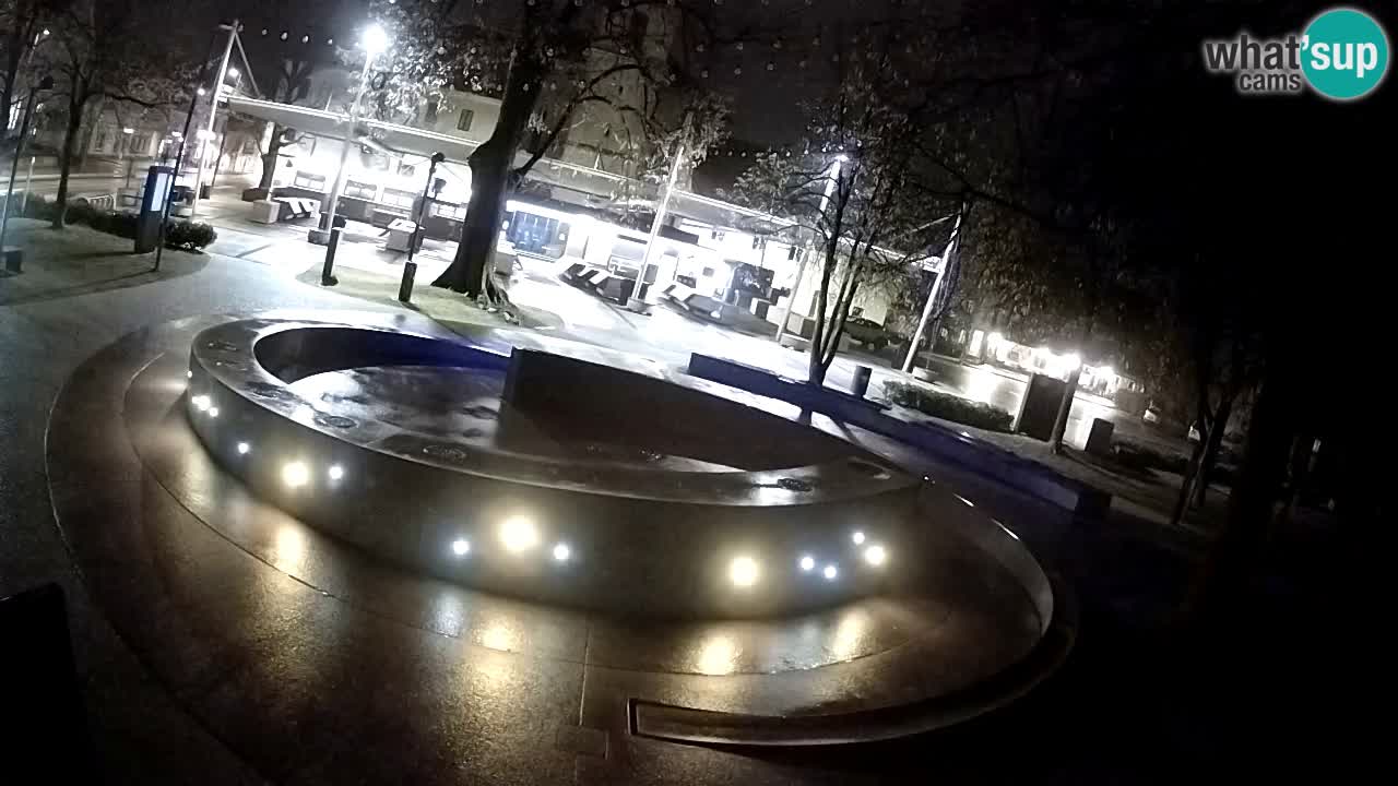 Fontana di birra Webcam – Oro verde – Žalec