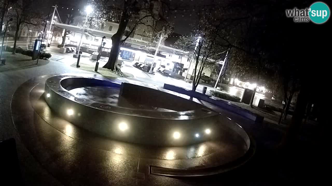 Bier-Springbrunnen Webcam Žalec – Grünen Goldes
