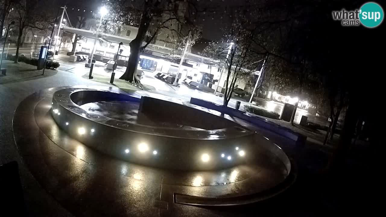 Fontana di birra Webcam – Oro verde – Žalec