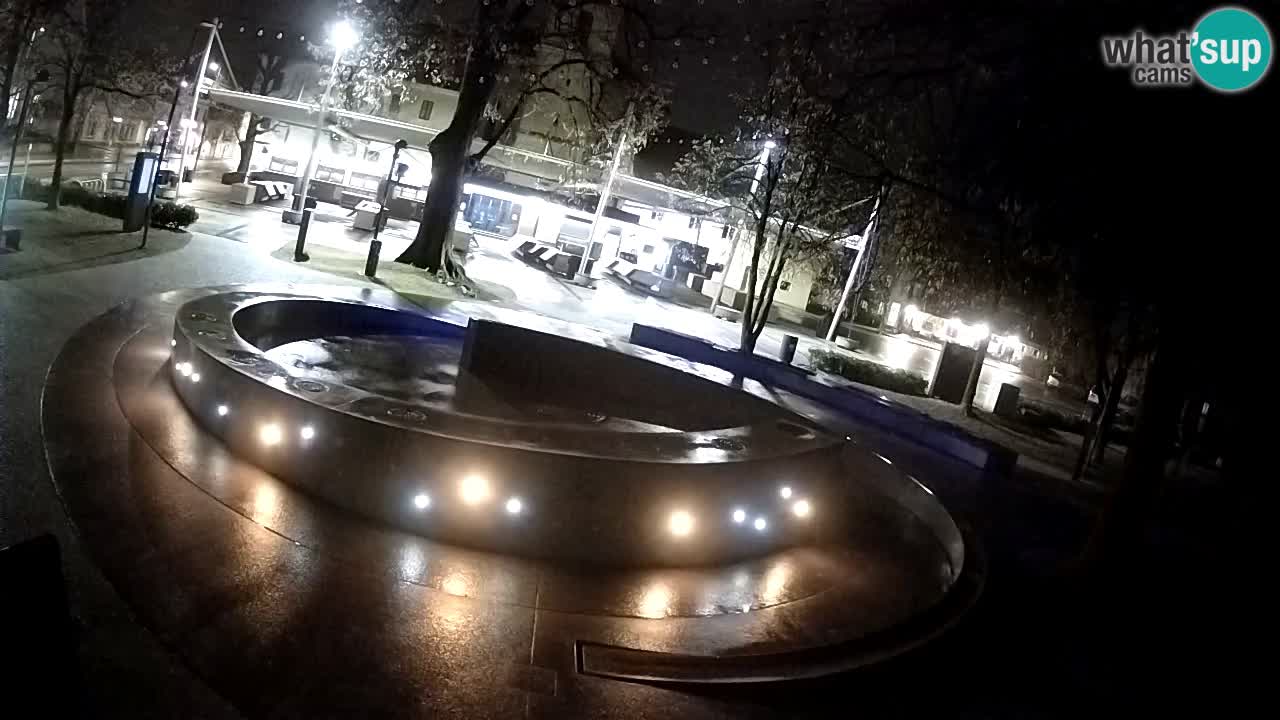 Fontana di birra Webcam – Oro verde – Žalec