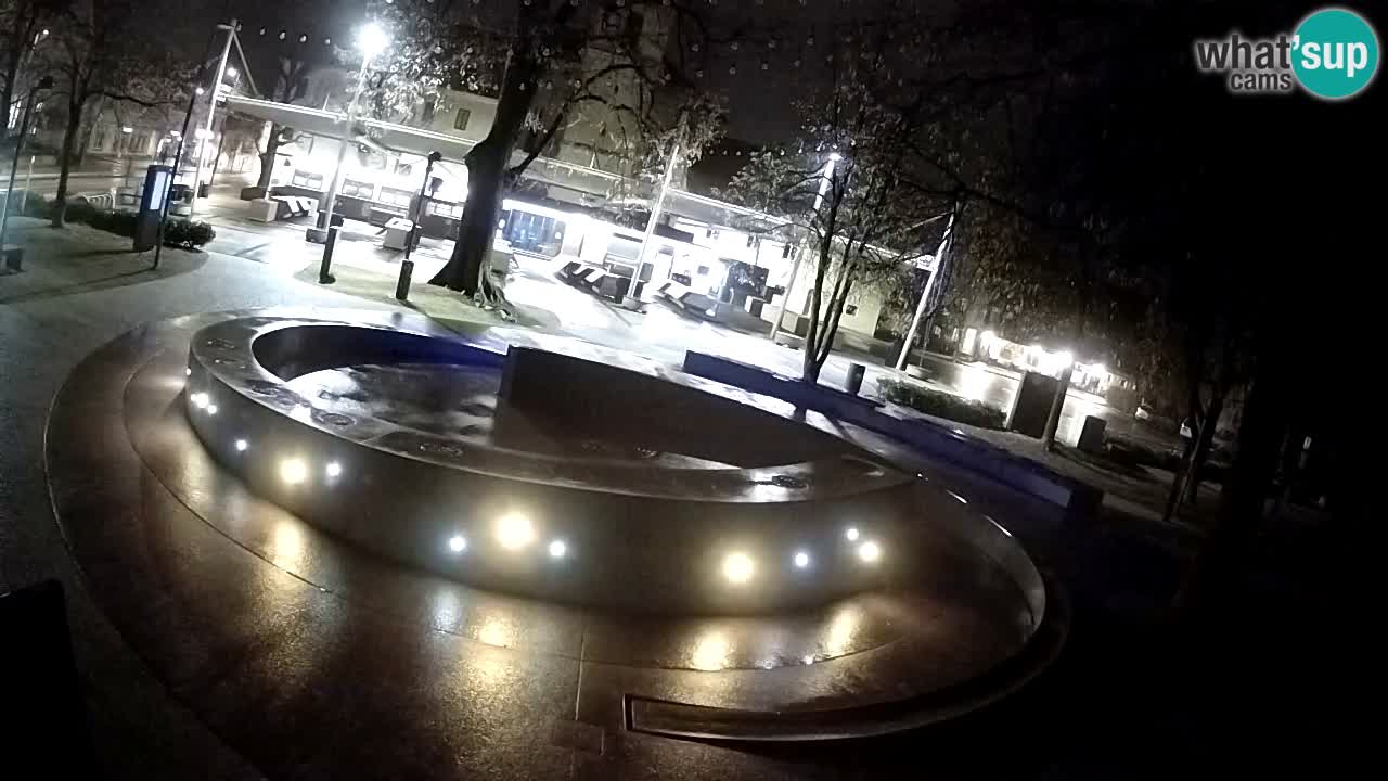 Fontana di birra Webcam – Oro verde – Žalec
