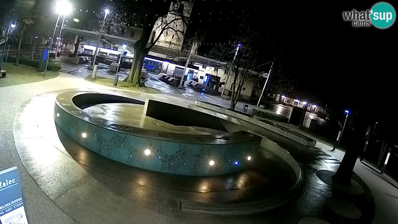 Fontana di birra Webcam – Oro verde – Žalec
